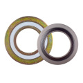 El fabricante Sells proporciona una junta de heridas de espiral de metal de bobinado flexible de alta calidad